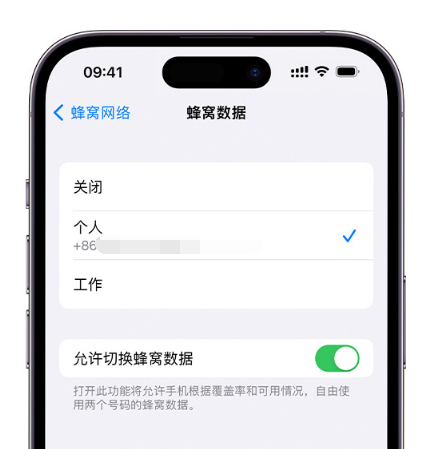 安达苹果维修服务分享如何在iPhone上使用双卡 